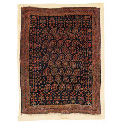 Qashqai with Inscriptions